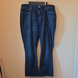 Arizona Jean Company Dark Blue Boot Cut Jeans